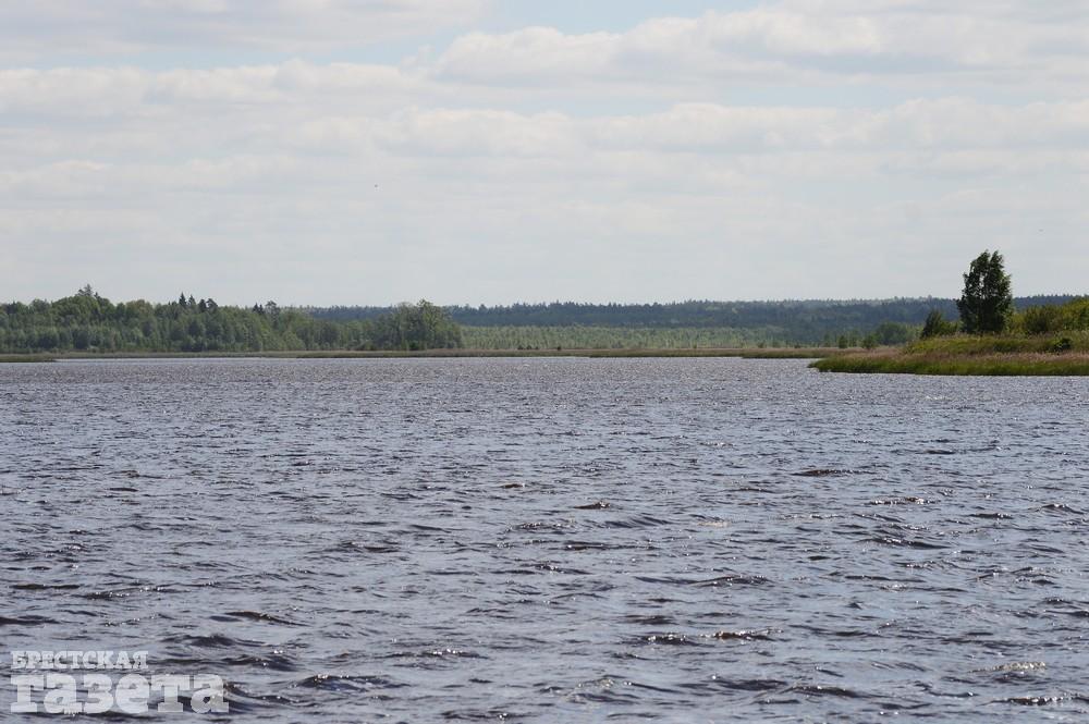 Озеро Лядские в Беловежской пуще