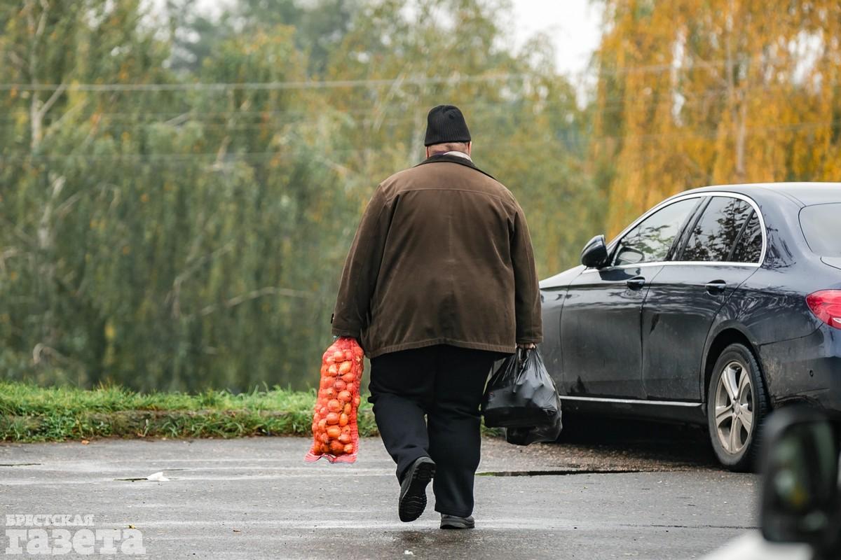 Сельскохозяйственная ярмарка в Бресте. Фото: , «Брестская газета»