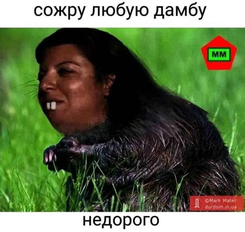 Мем