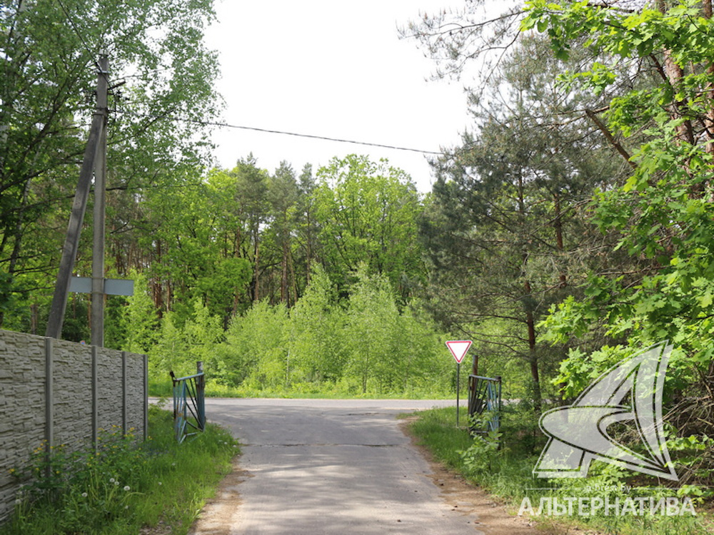 Подъездной путь к даче.