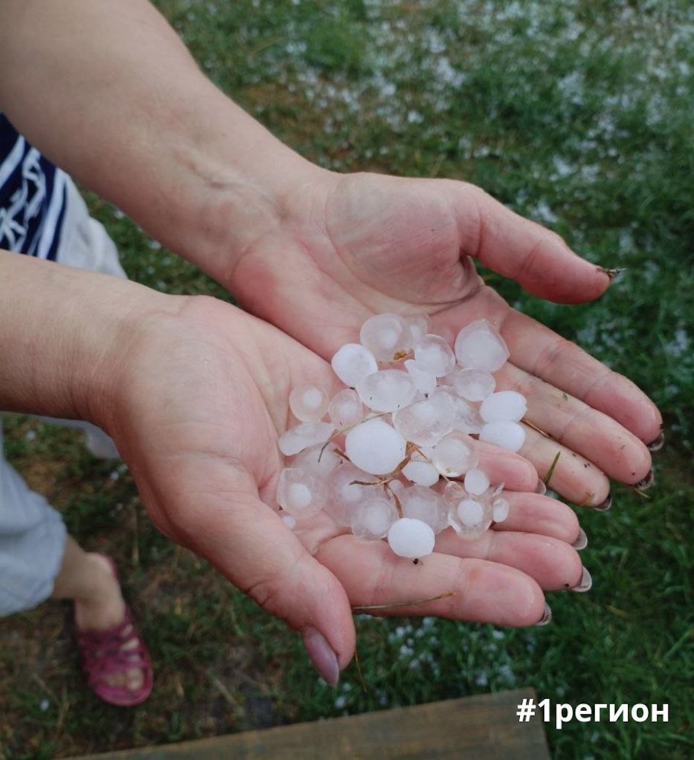 Град на подворьях жителей Пинского района в агрогородке Лопатино. Фото: #1регион.