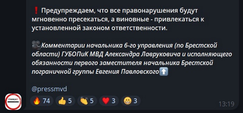 Реакция на задержание продавцов мест в очереди на границе. Скриншот чата