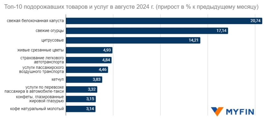 Топ-10 подорожавших товаров и услуг в августе 2024 года (прирост в % к предыдущему месяцу). Инфографика: Myfin.