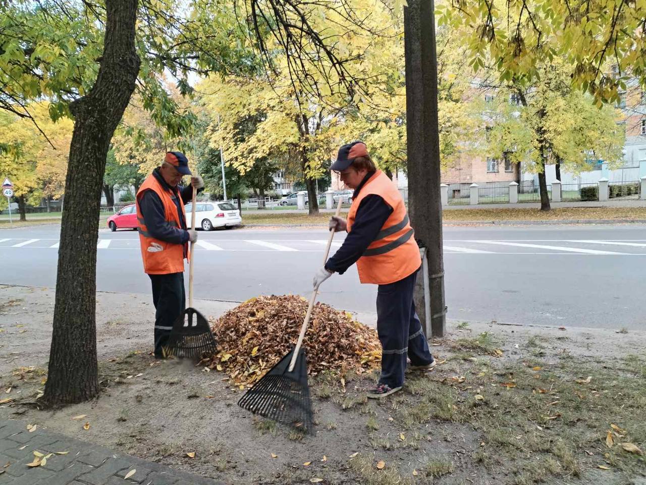 Дворники убирают листву на центральных улицах Бреста. Фото: «Любимый Брест».