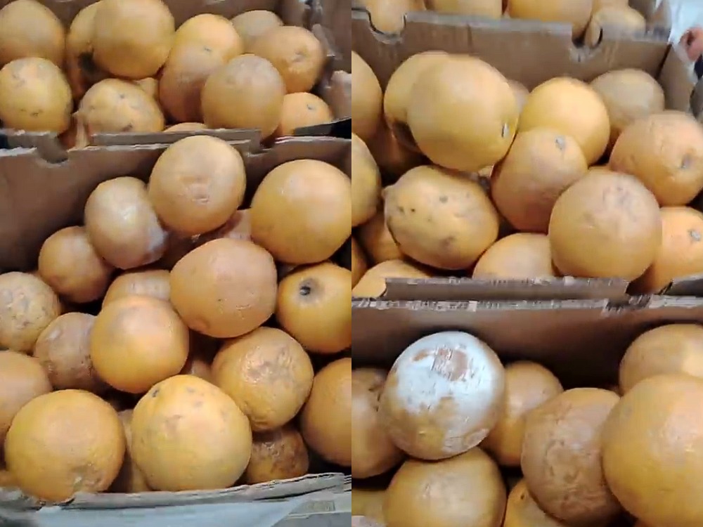 гнилые апельсины в магазине 