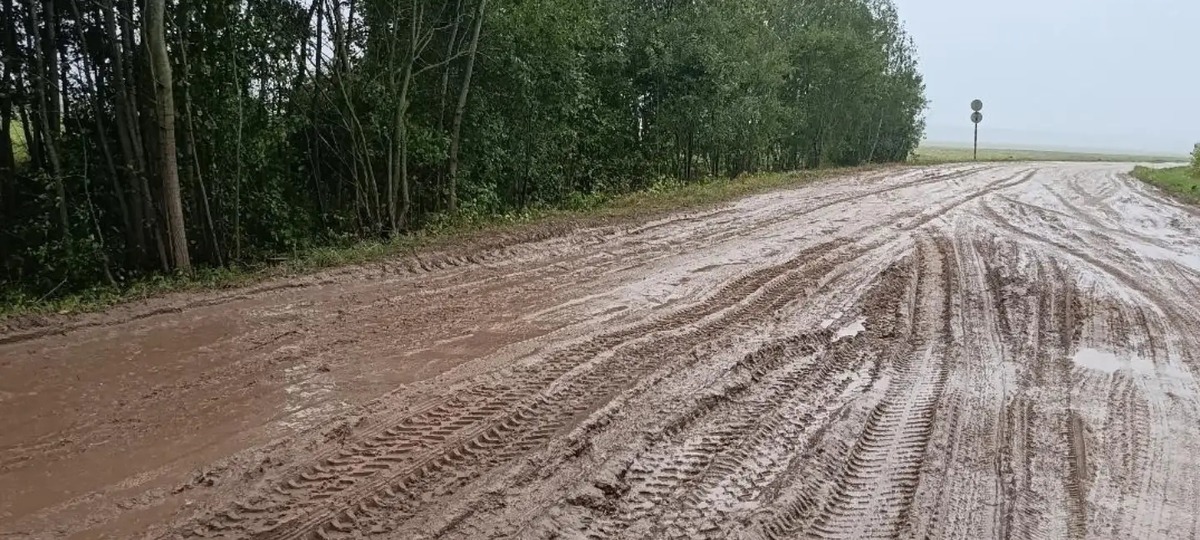 Объездная дорога в Слониме после дождя. Фото: instagram.com/slonim_live/