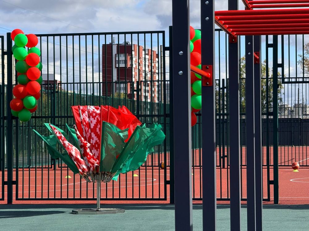 Открытие спортплощадки в гимназии №4 Бреста. Фото: Брестский горисполком