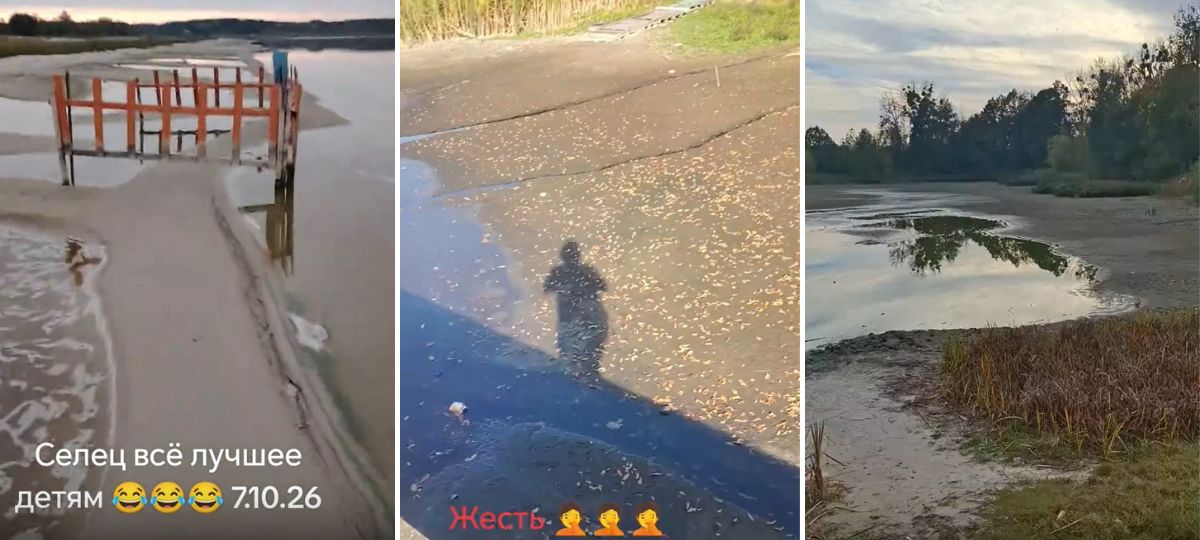 Обмеление водоемов в Брестской области в октябре 2026 года. Коллаж BGmedia